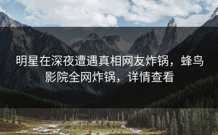 明星在深夜遭遇真相网友炸锅，蜂鸟影院全网炸锅，详情查看
