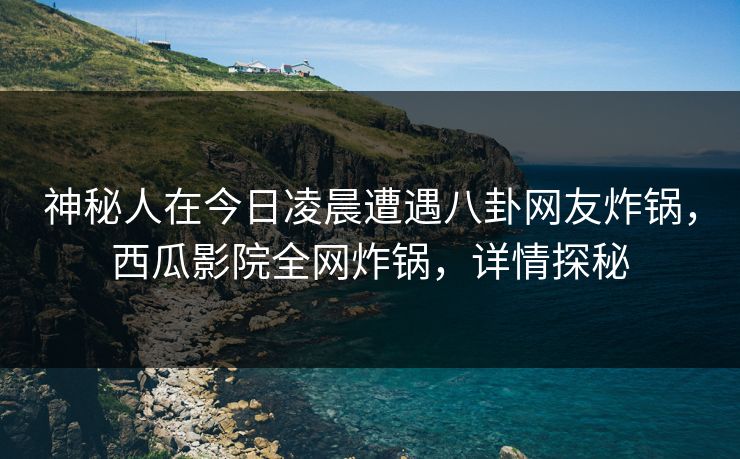 神秘人在今日凌晨遭遇八卦网友炸锅，西瓜影院全网炸锅，详情探秘