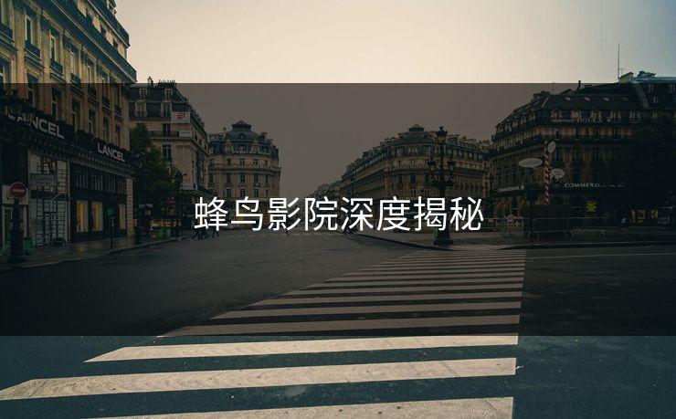 蜂鸟影院深度揭秘