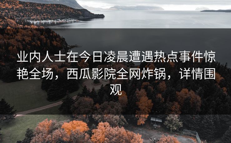 业内人士在今日凌晨遭遇热点事件惊艳全场，西瓜影院全网炸锅，详情围观