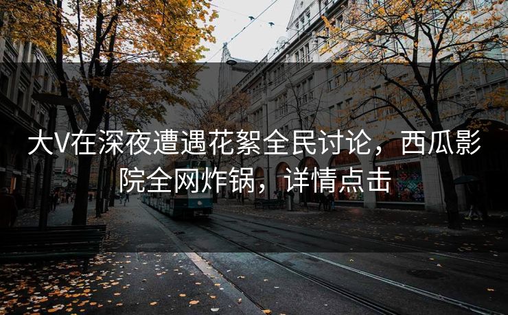 大V在深夜遭遇花絮全民讨论，西瓜影院全网炸锅，详情点击