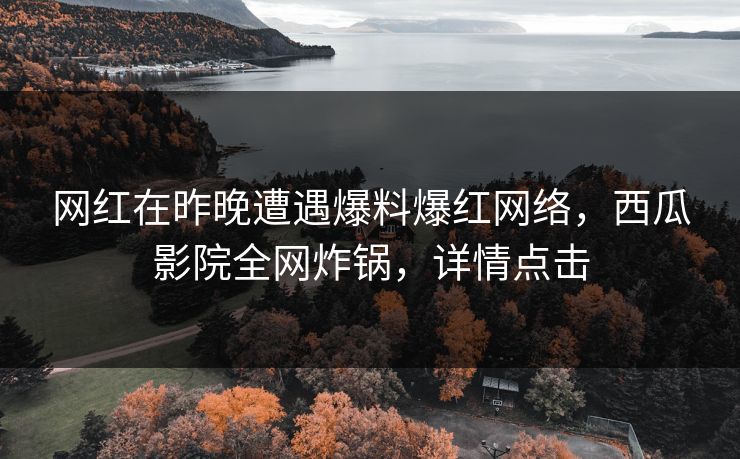 网红在昨晚遭遇爆料爆红网络，西瓜影院全网炸锅，详情点击
