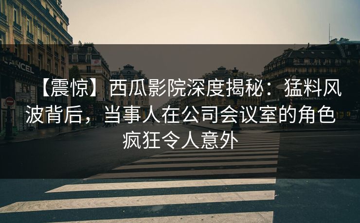 【震惊】西瓜影院深度揭秘：猛料风波背后，当事人在公司会议室的角色疯狂令人意外